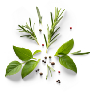 fresh mediterranean herb and spices with real transparent shadow isolated on transparent background. PNG Food background design element