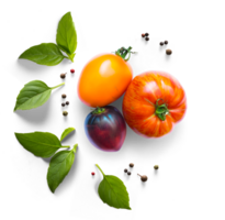 Sammlung von frisch organisch Tomaten und Basilikum Kraut Blätter. Mittelmeer Salat mit Basilikum Kräuter und Tomaten mit echt transparent Schatten auf transparent Hintergrund. png Essen Design Element