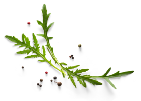 collezione di fresco erba le foglie. rucola spezie, erbe aromatiche. png cibo sfondo design elemento con trasparente ombra su trasparente sfondo.