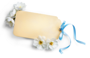 feminin Hochzeit, Geburtstag Attrappe, Lehrmodell, Simulation Szene. leer Papier Gruß Karte mit Blau und Frühling Weiß Blume. transparent Hintergrund und echt transparent Schatten. eben legen, oben Sicht. png