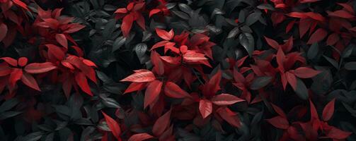 Christmas leaves red and green background, AI generate photo