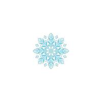 Snowflake, winter . Perfect for adding a touch of Christmas spirit to graphics, cards, websites, and apps. Vector icon illustration template