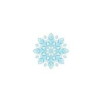 Snowflake, winter . Perfect for adding a touch of Christmas spirit to graphics, cards, websites, and apps. Vector icon illustration template