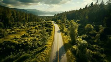 Top down aerial view of winding forest road in green mountain spruce woods. Generative AI photo