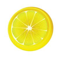 Vector realistic fruits composition with images of sliced lemon fruit on blank background