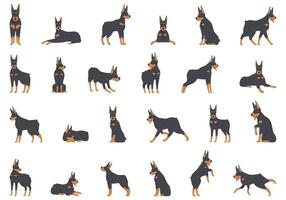 Doberman pinscher icons set cartoon vector. Angry animal vector