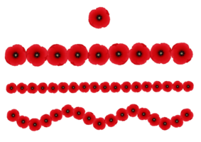 Flower Poppy Ribbons png