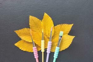 Paintbrushes for drawing, autumn leaves, flat lay photo