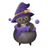 peu Halloween sorcière chat png