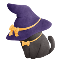 liten halloween häxa katt png