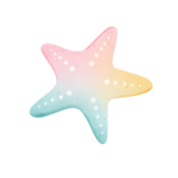 Colorful starfish cartoon drawing png