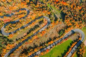 Autumn Winding Road in the Forest photo