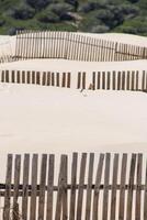 Wooden fences on deserted beach dunes in Tarifa, Spain photo