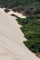 hermosa ver en playa y océano, España, tarifa foto