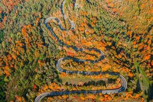 hermosa aéreo paisaje de montaña bosque la carretera. aéreo ver de curvilíneo la carretera en hermosa otoño bosque foto