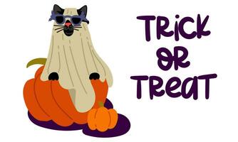 A postcard with the inscription Trick or treat. A black cat in a sheet and glasses with bats on Halloween sits on a pumpkin on white. Flat vector illustration. Cute card for printing, text for holiday