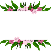 viola fiore telaio clipart png