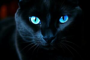 Elegant Black cat blue eyes. Generate Ai photo