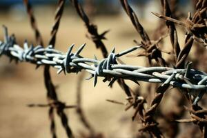 Old Barbed wire field closeup. Generate Ai photo