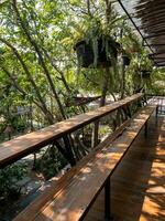 The wooden terrace with the long bench and tropical plant. photo