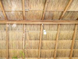 The LED bulb is hanging from the ceiling of the thatch. photo