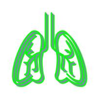 Lungs Vector Icon