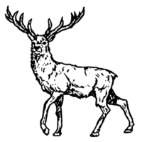 icône clipart cerf bois herbivore animal faune png