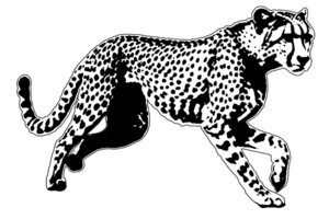 icon clipart cheetah animal wildlife png