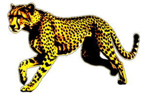 icono clipart leopardo animal fauna silvestre png