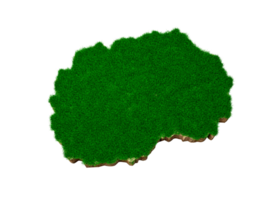 nordmazedonien karte boden land geologie querschnitt mit grünem gras 3d illustration png