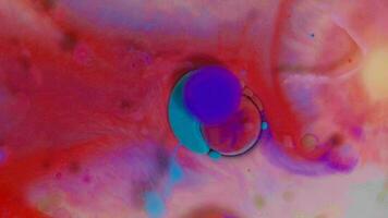 Top view of colored acrylic paint bubbles moving on milk, oil, liquid macro background. video