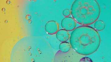 Oil bubble and spheres moving on water with color background, Macro photography concept video