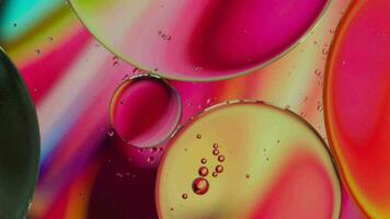 Oil bubble and spheres moving on water with color background, Macro photography concept video