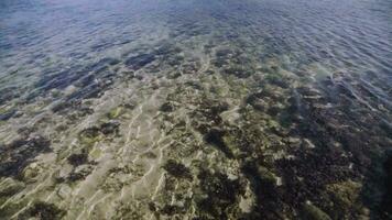 vue de le plage avec lent et clair l'eau mouvement, corail rochers sur le surface de le plage. video