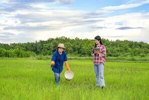 asian farmer is sowing fertilizer on rice field with young asian smart farmer holding digital tablet observing in paddy field,rice research,rice development to increase agricultural productivity photo