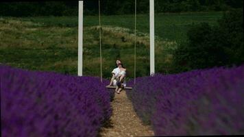 giovane, caucasico, brunetta donna cavalcate su un' swing nel un' bianca estate vestito godere un' lavanda campo. lento movimento. Provenza, Francia video