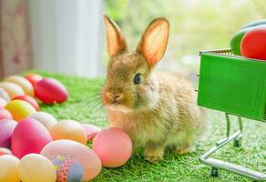 a brown adorable baby  bunny posing with easter eggs, concept of rabbit easter photo