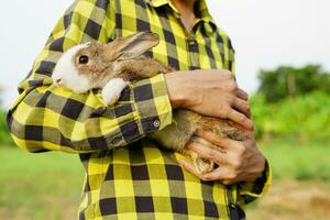 Adorable rabbit was hugged by a man wearing a green checkered shirt,focus at rabbit. concept for rabbit farming,rabbit farm,bunny lovers,bunny easter etc photo