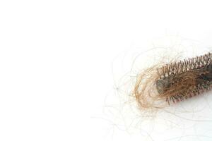 Hair loss in comb, hair fall everyday serious problem, on white background. photo