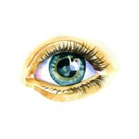 Watercolor artwork of eye. Hand drawn illustration photo