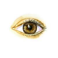 Watercolor artwork of eye. Hand drawn illustration photo