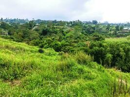 Scenic view of farmland and a view over the village of Cepogo. Cepogo is located on the Boyolali, Central Java and is a good base for exploring the countryside. photo