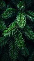 Holiday Spruce Branches - Generative AI photo
