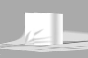 A4 A5 Square Flyer With Shadow Overlay 3D Rendering White Blank Mockup photo