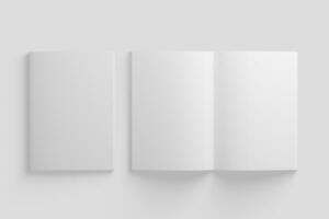 a4 a5 revista folleto 3d representación blanco blanco Bosquejo foto