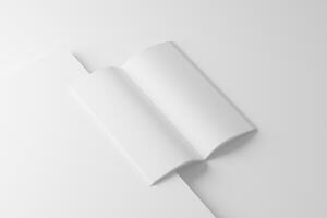 DL Saddle Stitch Bifold Brochure White Blank 3D Rendering Mockup photo