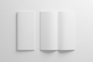 DL Saddle Stitch Bifold Brochure White Blank 3D Rendering Mockup photo