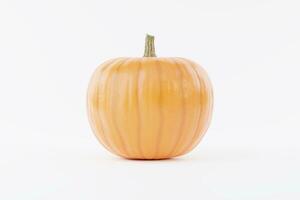 Organe Pumpkin In White Background 3D Rendering Mockup photo