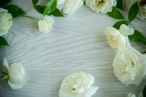 background of many white roses on a light wooden photo