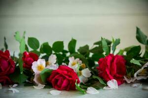 background of many red roses on a light wooden photo